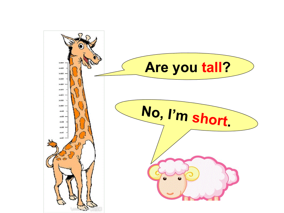 四年级下册英语课件－Lesson 14 Are You Short or Tall？｜冀教版(共10张PPT).ppt_第2页