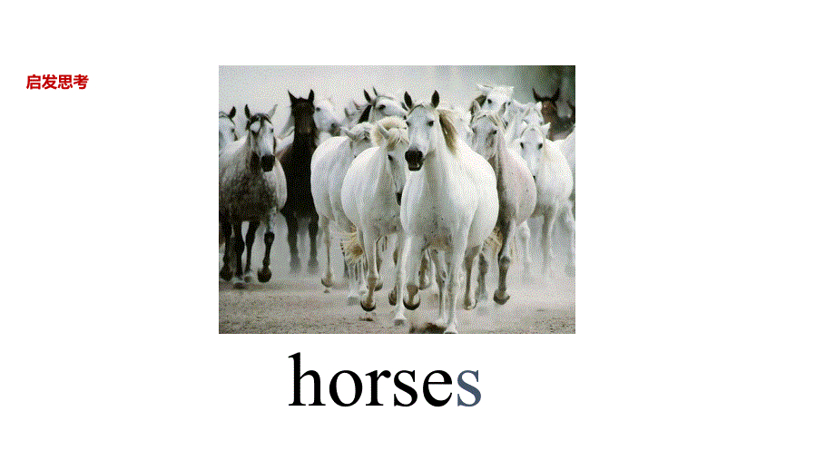 四年级下册英语课件-Unit 4 At the farm Part B∣人教PEP（2018秋） (共46张PPT).ppt_第3页