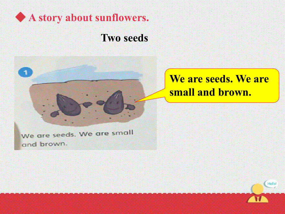 四年级下册英语课件－Unit 10《My garden》（第二课时）｜牛津上海版（深圳用）1 (共12张PPT).ppt_第3页