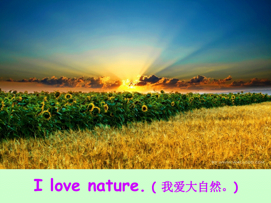 四年级下册英语课件－Unit 5《Seasons》｜译林版（三起） (共29张PPT).ppt_第3页