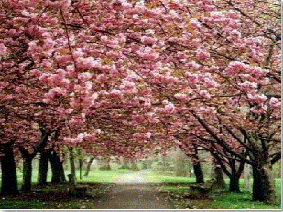 四年级下册英语课件－《Unit 5 Seasons》｜译林版（三起） (共33张PPT).ppt_第3页