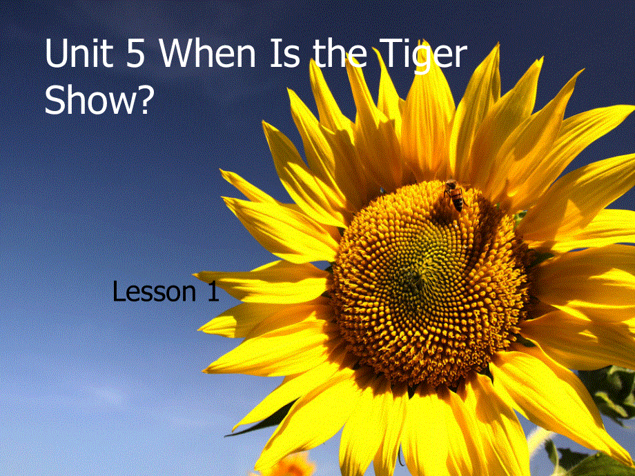 四年级下册英语课件-Unit 5 When Is the Tiger Show Lesson 1 -2∣重大版 (共18张PPT).ppt_第1页