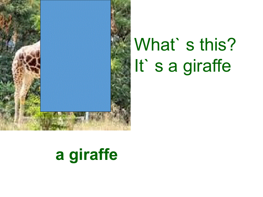 四年级下册英语课件-Unit 6 Lesson 34_人教精通（2014秋）.ppt_第3页