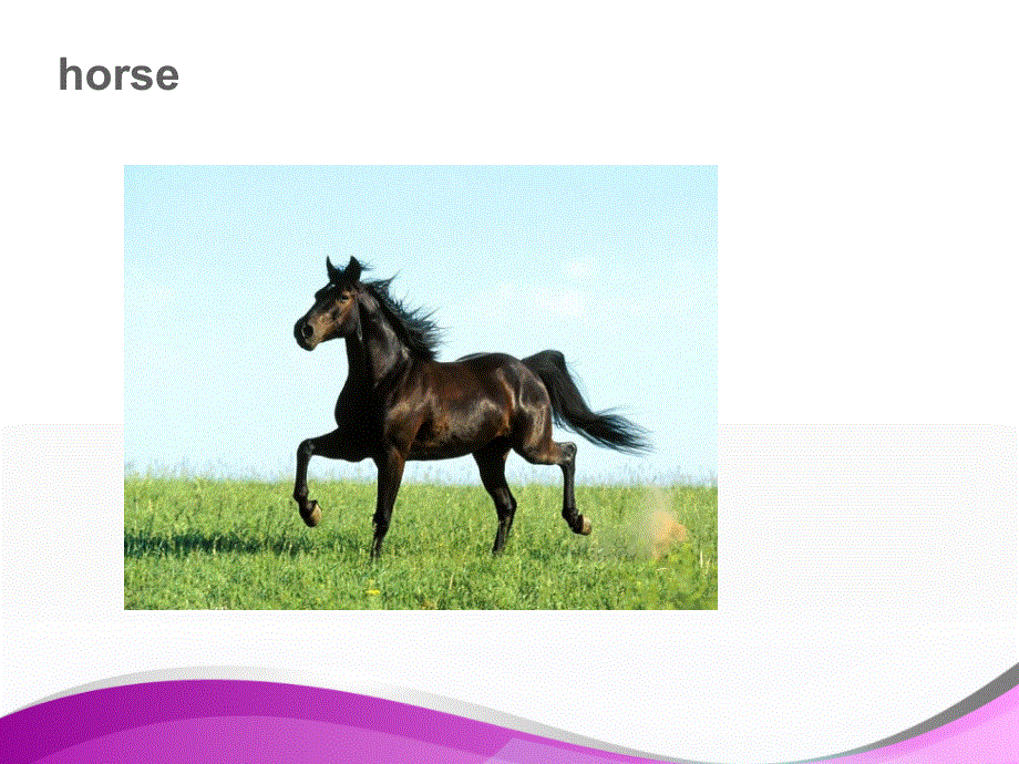 四年级下册英语课件-Unit 6 Would you like to take a trip Lesson 34-3_人教精通（2014秋）.ppt_第3页