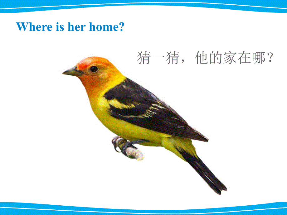 四年级下册英语课件-《Unit1 Home sweet home Lesson1 》课件1｜清华版（一起） (共21张PPT).ppt_第2页