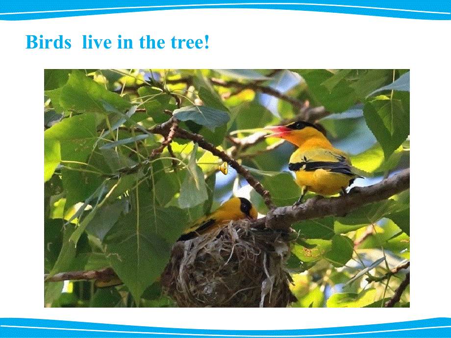 四年级下册英语课件-《Unit1 Home sweet home Lesson1 》课件1｜清华版（一起） (共21张PPT).ppt_第3页