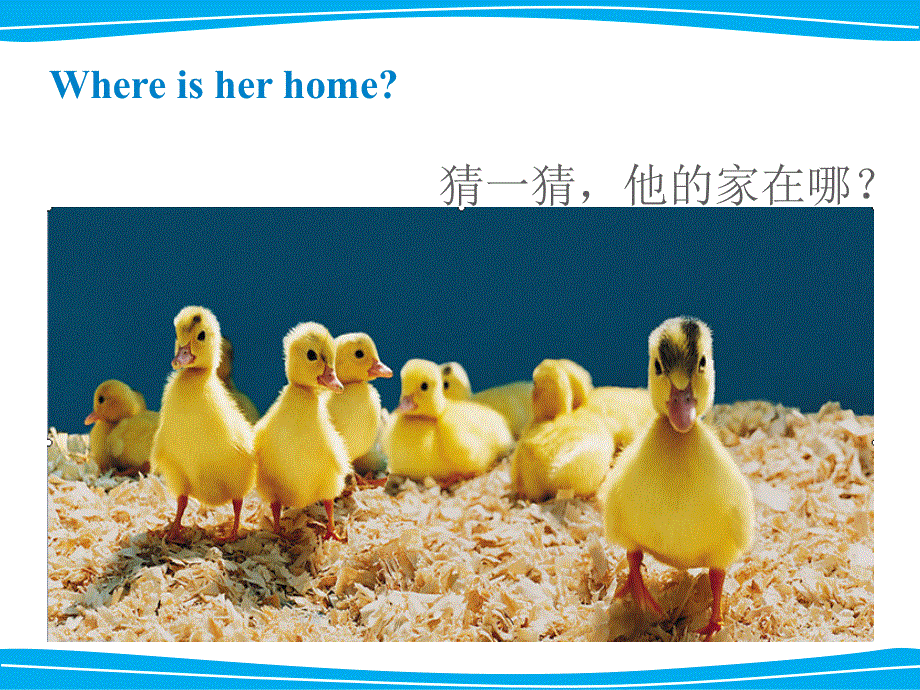 四年级下册英语课件-《Unit1 Home sweet home Lesson3 》课件1｜清华版（一起） (共16张PPT).ppt_第2页