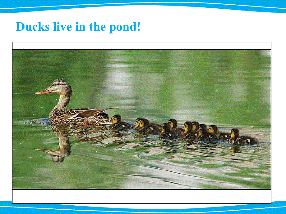 四年级下册英语课件-《Unit1 Home sweet home Lesson3 》课件1｜清华版（一起） (共16张PPT).ppt_第3页