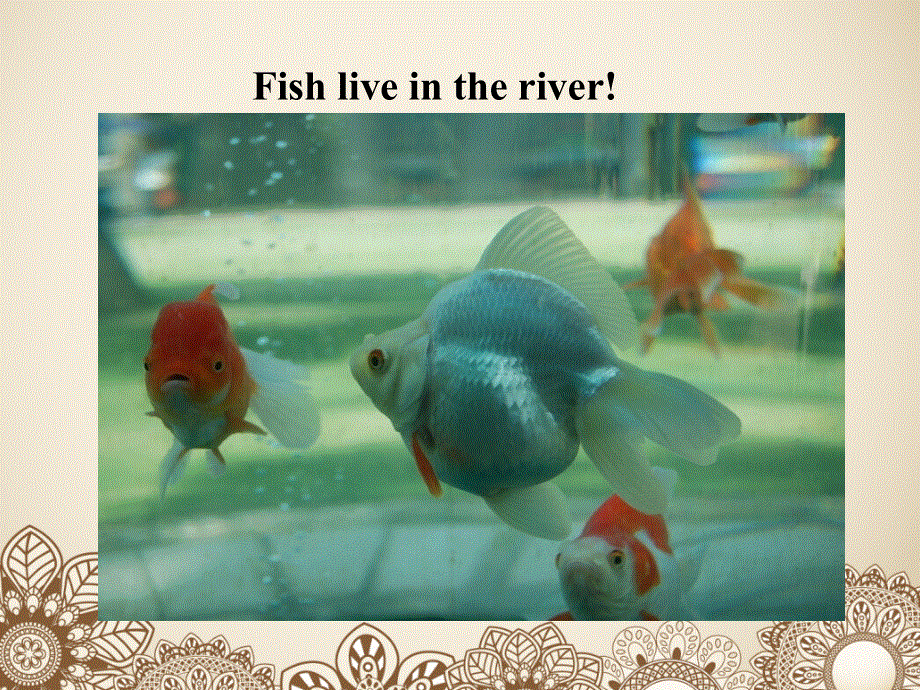 四年级下册英语课件-《Unit1 Home sweet home Lesson2》课件2｜清华版（一起） (共16张PPT).ppt_第2页