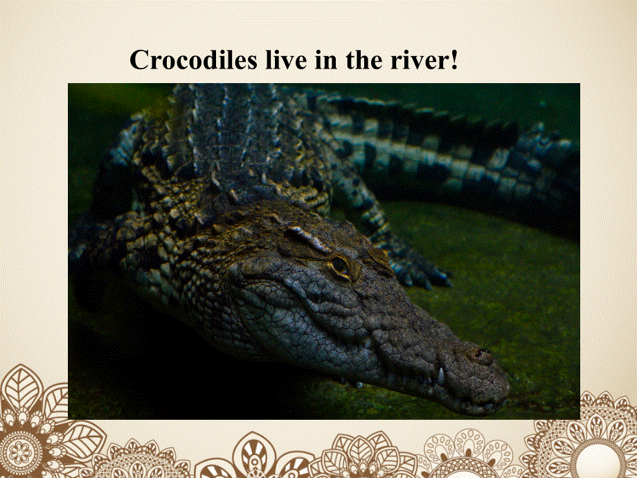 四年级下册英语课件-《Unit1 Home sweet home Lesson2》课件2｜清华版（一起） (共16张PPT).ppt_第3页