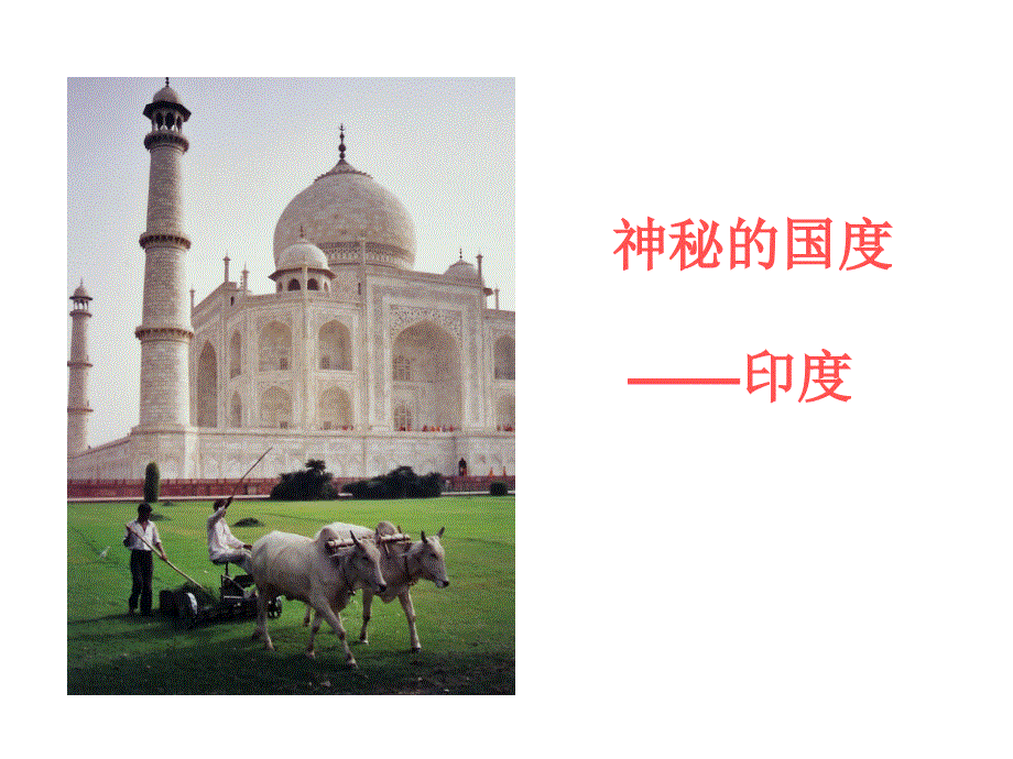 四年级下册语文课件-23 印度王公的大米（一）｜鄂教版(共25张PPT).ppt_第2页