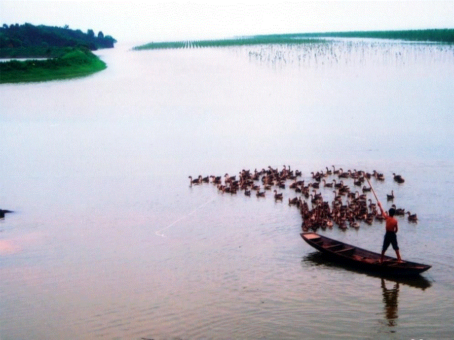 四年级下册语文课件－《望洞庭》｜长春版 (共21张PPT).ppt_第1页