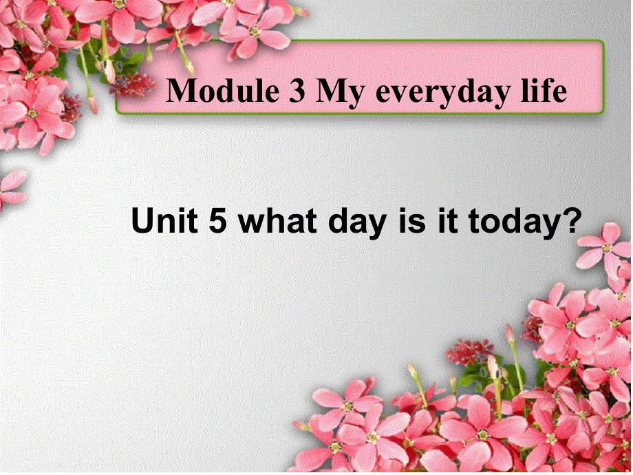 四年级下英语课件-Module3 Unit5 What day is it today_教科版（广州专用）.ppt_第1页