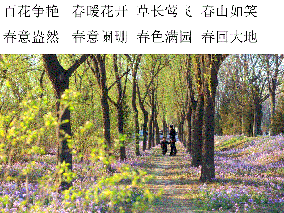 四年级下册语文课件－第2课《只拣儿童多处行》｜语文S版 (共32张PPT).ppt_第2页