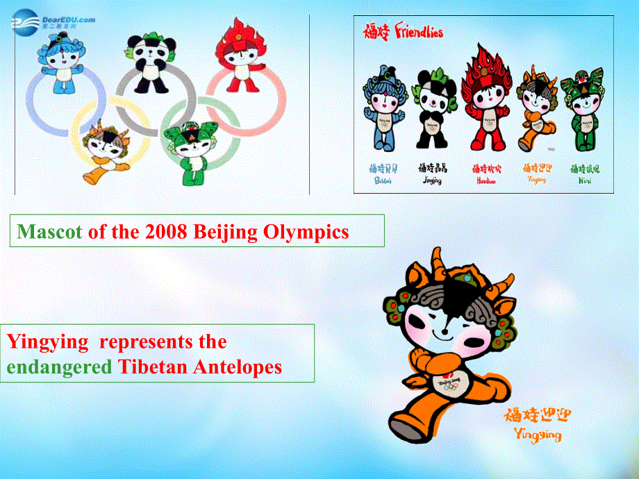 四川省凉山彝族自治州昭觉中学高中英语 Reading复习课件2 外研版必修5.ppt_第2页