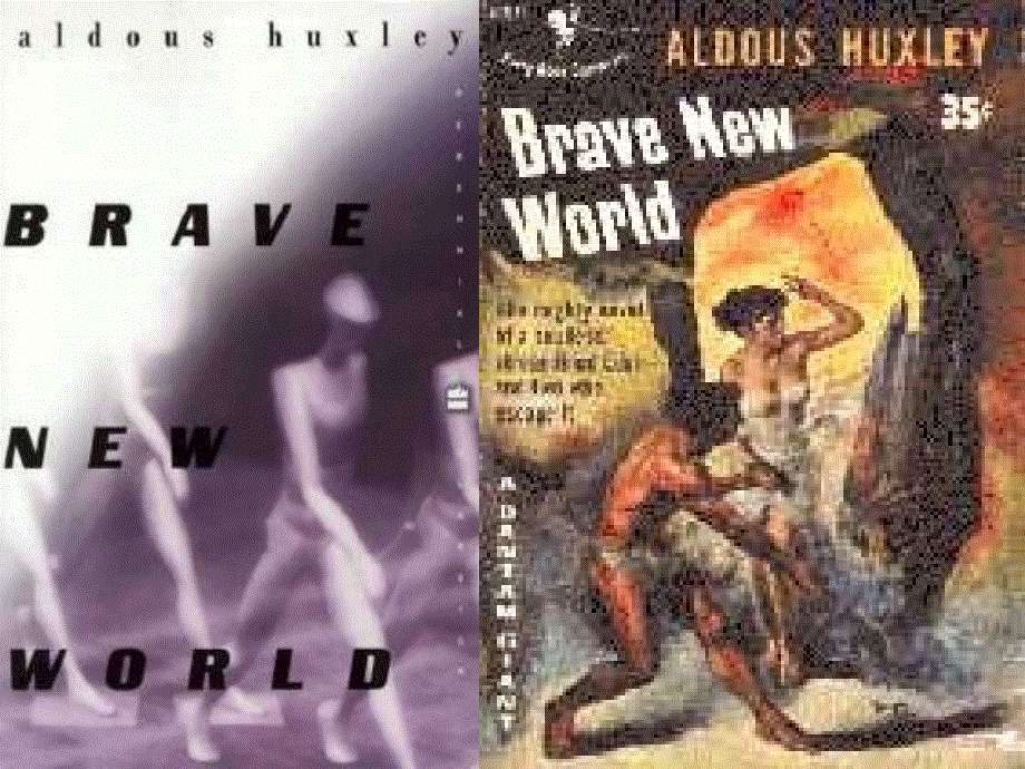 四川省宜宾县蕨溪中学外研版高中英语选修6 MODULE 5 CLONING PERIOD 4.ppt_第2页