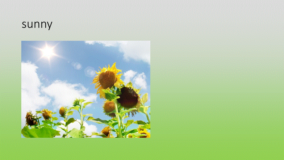 四年级上册英语课件-Unit 4 How's the weather today Lesson 22-2_人教精通（2014秋）.ppt_第3页