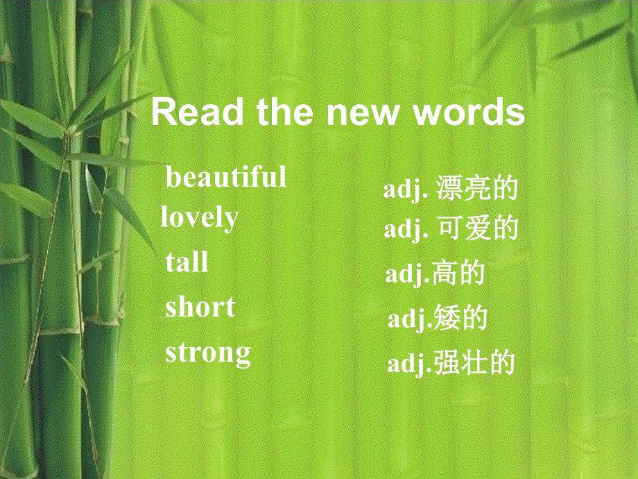 四年级上册英语课件-Unit 5 Those Are PandasLesson 2-1∣重大版 (共19张PPT).ppt_第2页