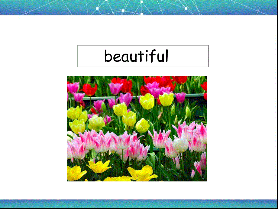 四年级上册英语课件-Unit 5 Those Are PandasLesson 2-1∣重大版 (共19张PPT).ppt_第3页