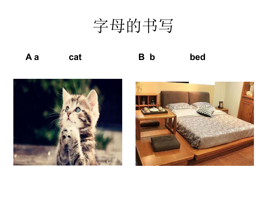 四年级上册英语课件-Lesson 1 This Is Me! ∣川教版(三年级起点)（23张PPT） (共13张PPT).ppt_第3页