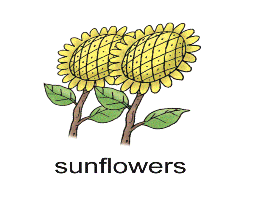 四年级上册英语课件-lesson 3 happy teachers'day! ∣川教版(三年级起点) (2) (共11张PPT).ppt_第2页