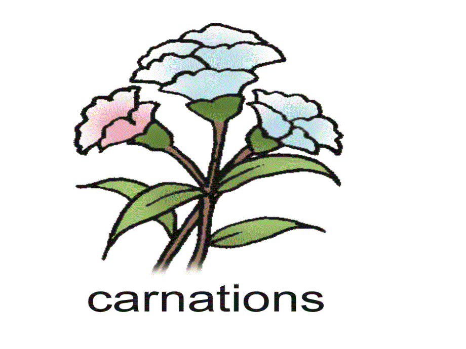 四年级上册英语课件-lesson 3 happy teachers'day! ∣川教版(三年级起点) (2) (共11张PPT).ppt_第3页