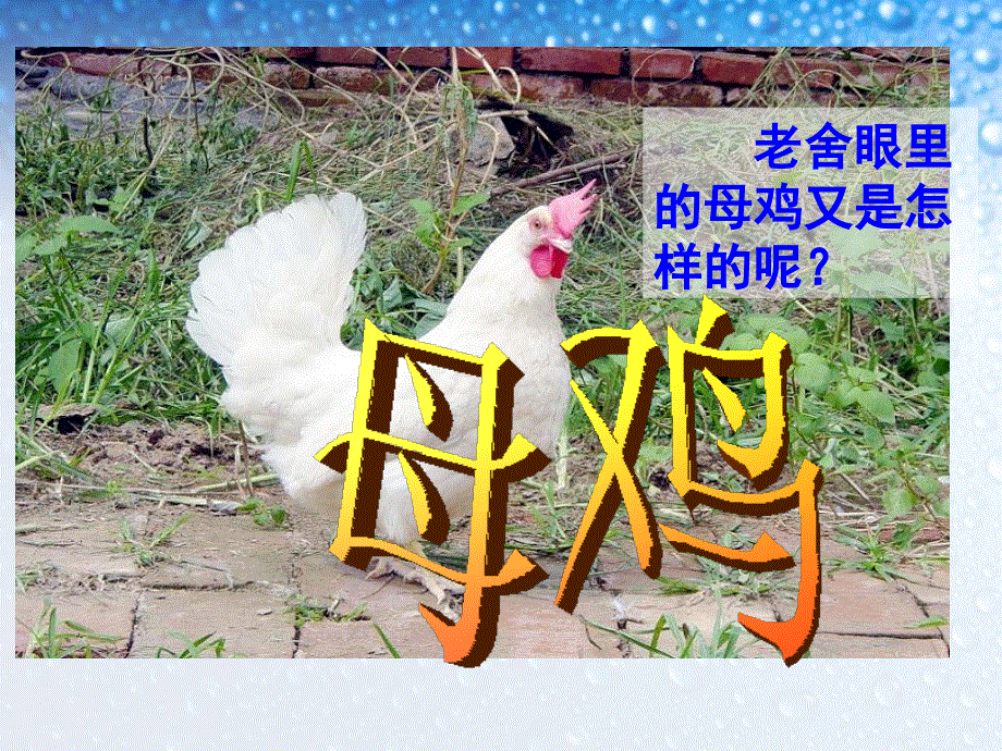 四年级上册语文课件-16.母鸡｜人教新课标 (共31张PPT).ppt_第2页