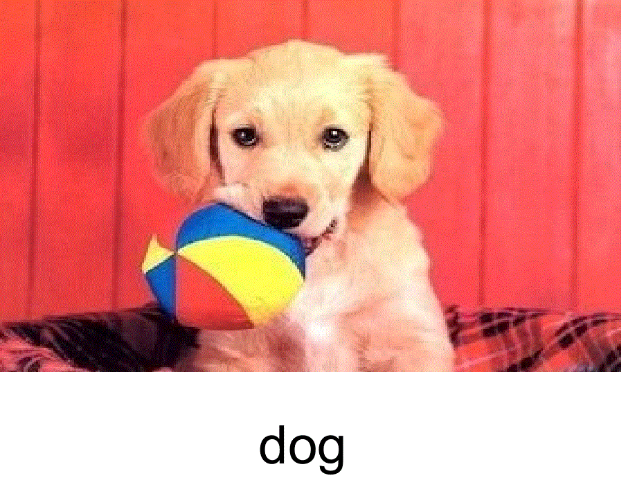 四年级上册英语课件－《Unit 11 Where’s the cat》｜湘少版（三起）(共15张PPT).ppt_第2页