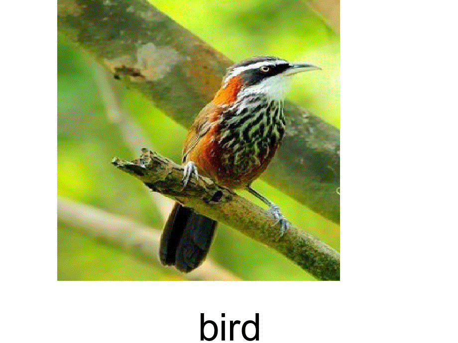 四年级上册英语课件－《Unit 11 Where’s the cat》｜湘少版（三起）(共15张PPT).ppt_第3页