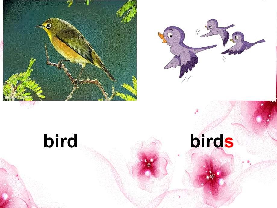 四年级上册英语课件－《Unit 4 These are flowers》｜湘少版（三起） (共14张PPT).ppt_第3页