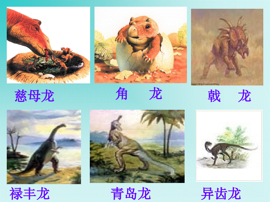 四年级上册语文课件－31《飞向蓝天的恐龙》 ｜人教新课标(共19张PPT).ppt_第1页