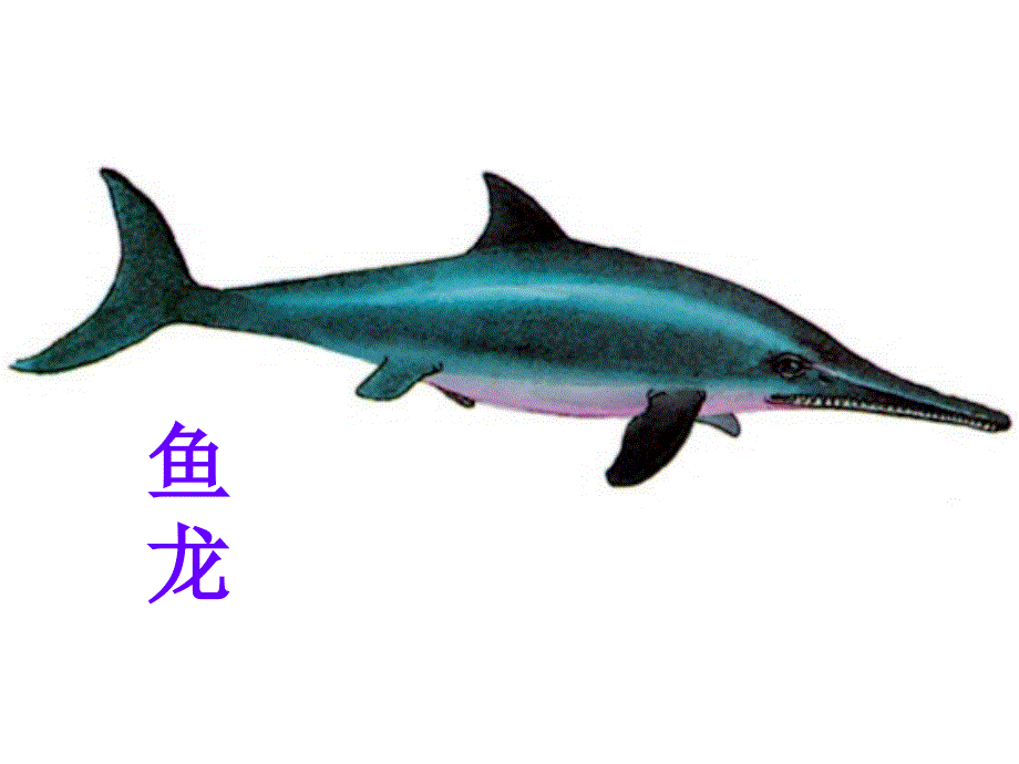 四年级上册语文课件－31《飞向蓝天的恐龙》 ｜人教新课标(共19张PPT).ppt_第3页