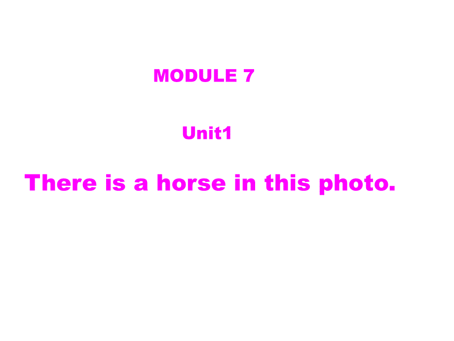 四年级上英语课件-Module 7 Unit 1 There is a horse in this photo 1_外研社（三起）.ppt_第1页