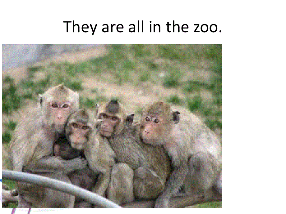 四年级下册英语课件-Lesson 16 Sue is behind John 课件1｜接力版 (共16张PPT).ppt_第2页