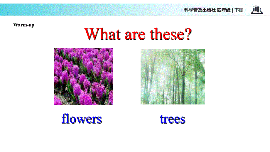 四年级下册英语课件-Lesson5 What are these∣科普版（三起）(共13张PPT).ppt_第2页