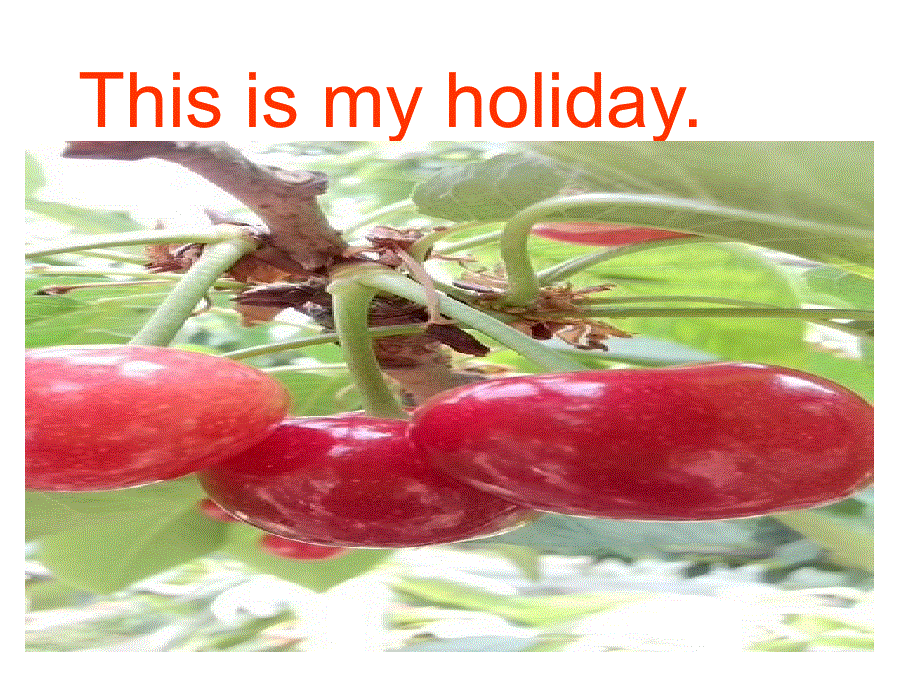 四年级下册英语课件-U6L1.I'mgoingtoMountTaishan_鲁科版（五四制）（三起）.ppt_第2页