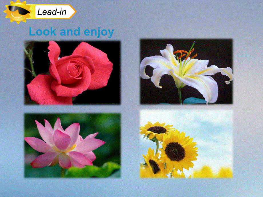 四年级下册英语课件-Unit 10 My garden（课时1）∣牛津上海版（深圳用）.ppt_第2页