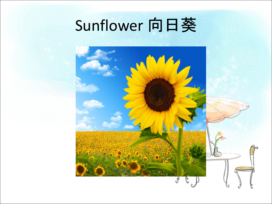 四年级下册英语课件-Unit 2 There are many flowers Section B1_湘鲁版 (共18张PPT).ppt_第3页