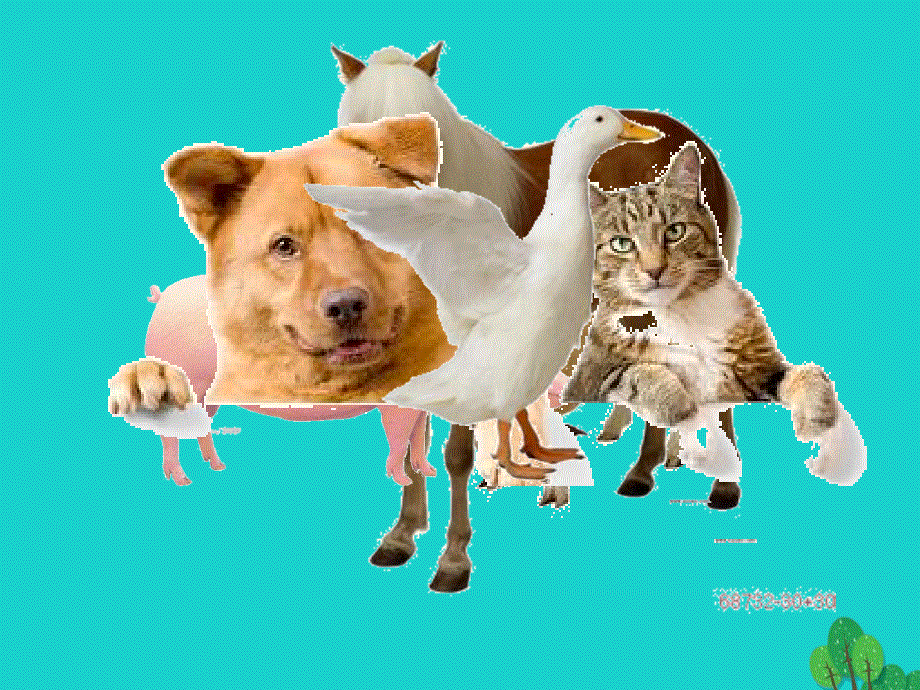 四年级英语下册Unit4AtthefarmPartB第3课时教学课件人教PEP版.ppt_第3页