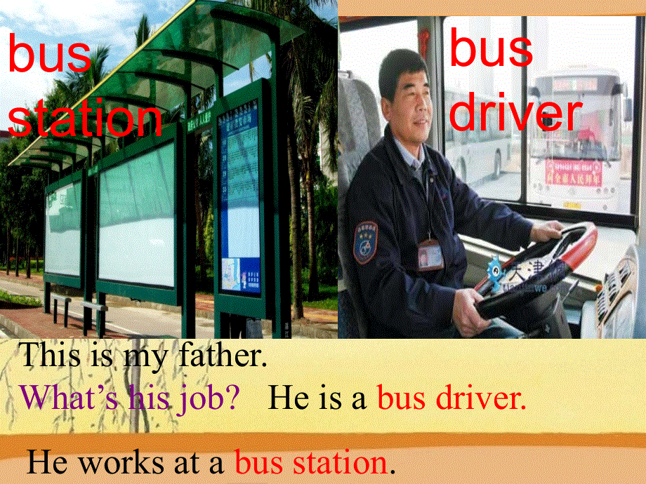 外研版七年级英语上Module 2 Unit 2 These are my parents教学课件共17张PPT含听力.ppt_第3页