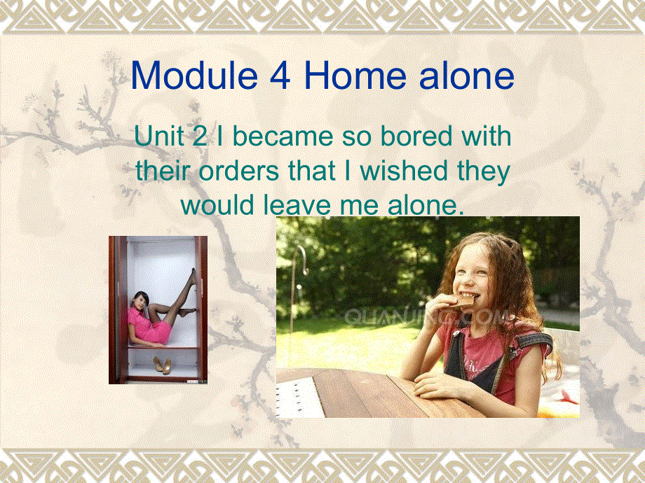 外研版九年级英语上册Module 4 Home alone Unit2课件(共18张PPT).ppt_第1页