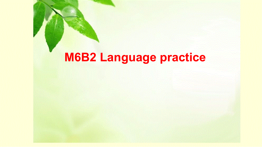 外研版高中英语 Moduke 6 Book 2 Language practice教学课件(共19张PPT).ppt_第1页