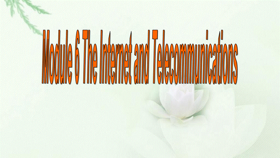 外研版高中英语Book 1 Module 6 The Internet and Telecommunicationslanguage use 公开课教学课件 (共38张PPT).ppt_第2页
