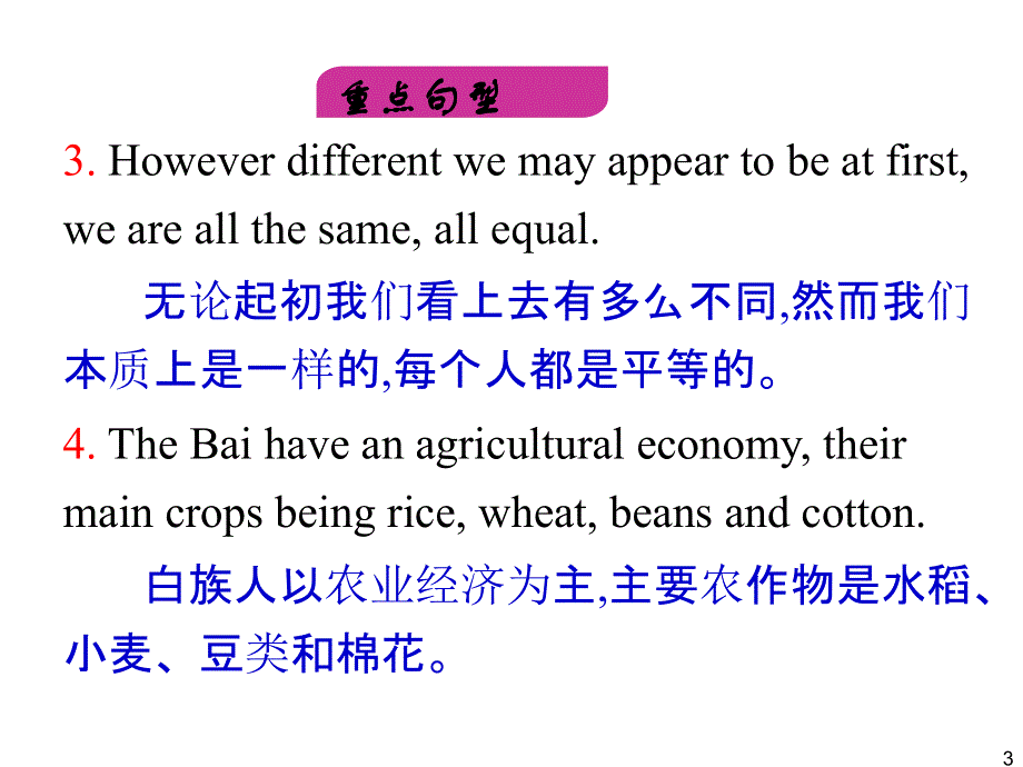 外研版高中英语一轮复习精品课件：选修7 M5 Ethnic Culture.ppt_第3页