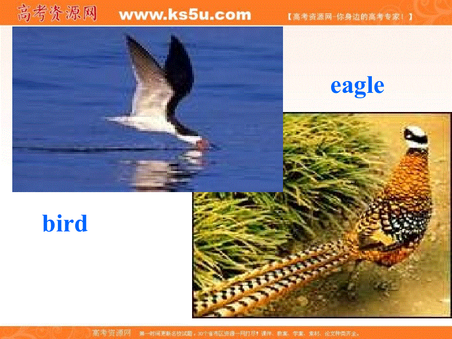 外研版高中英语必修五课件：MODULE6 LISTENING .ppt_第3页