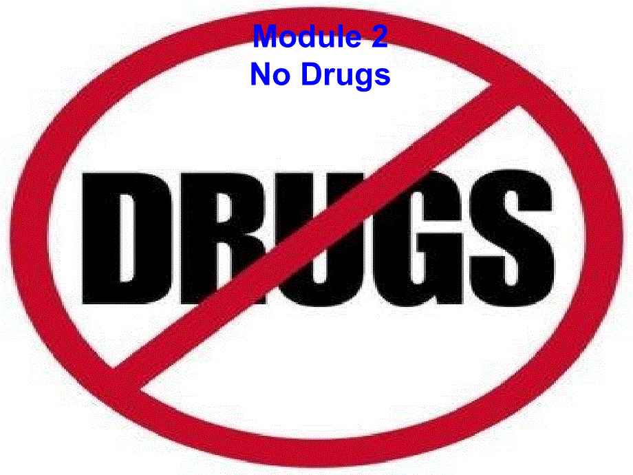 外研版高中英语教学课件Book2 Module2 Period 1 Introduction cultural corner(共37张PPT).ppt_第1页