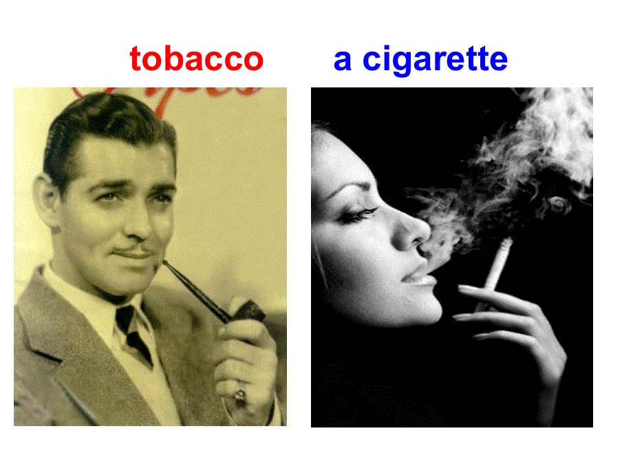 外研版高中英语教学课件Book2 Module2 Period 1 Introduction cultural corner(共37张PPT).ppt_第3页