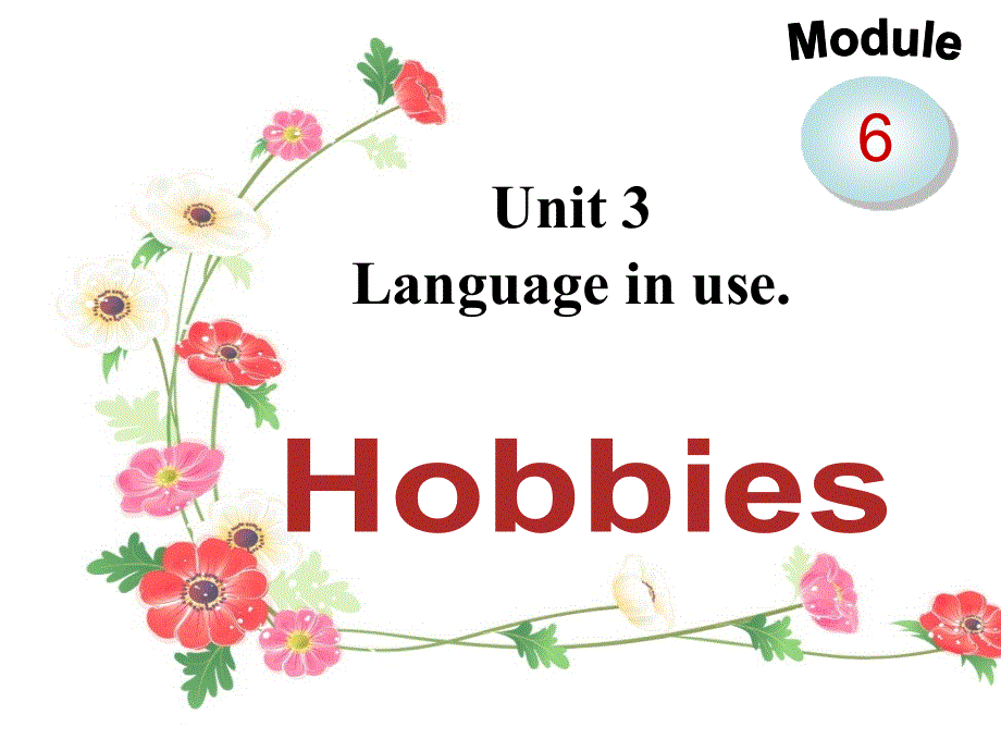 外研2011课标版初中英语八年级下册 Module Unit 3 Language in use(共27张PPT).ppt_第2页