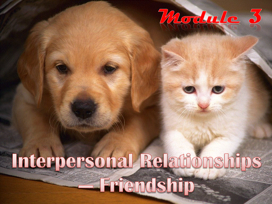 天津市青光中学2011-2012学年高二英语 READING（课件）.ppt_第1页