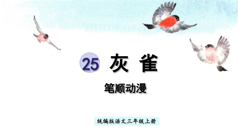 2023部编三下语文第八单元25灰雀笔顺动漫课件.pptx_第1页